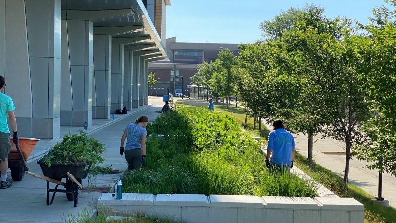 Bioswale Inspection