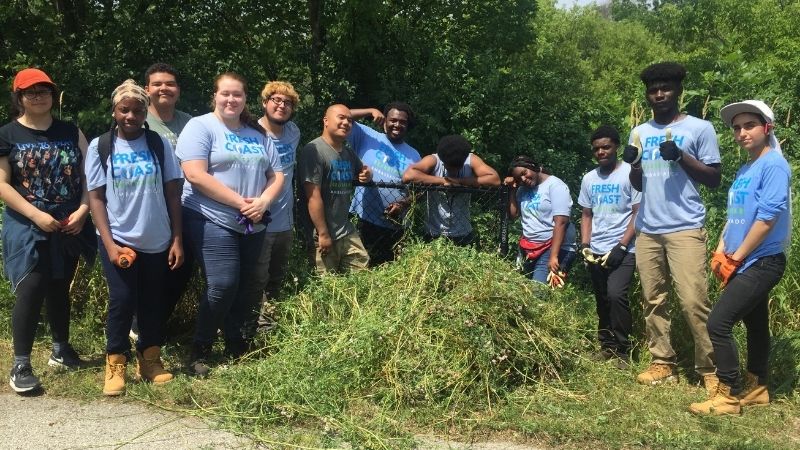 Learning About Native Landscaping