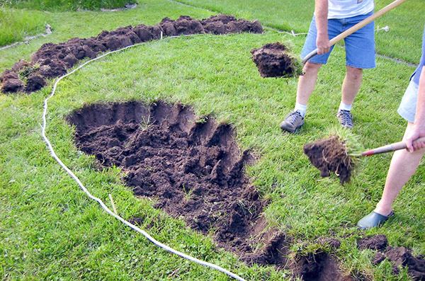 people digging a garden